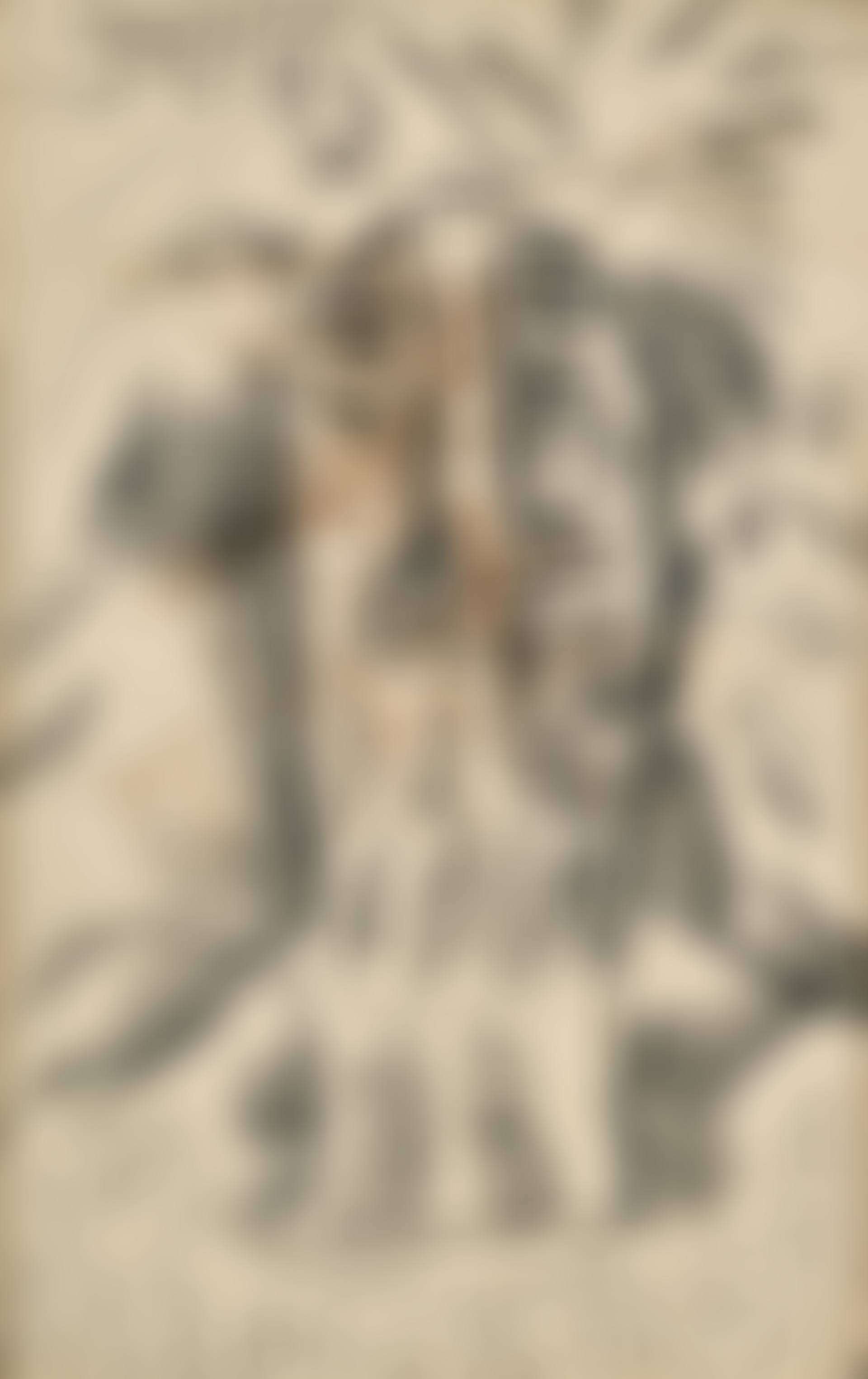 TWO DRAWINGS (preview)