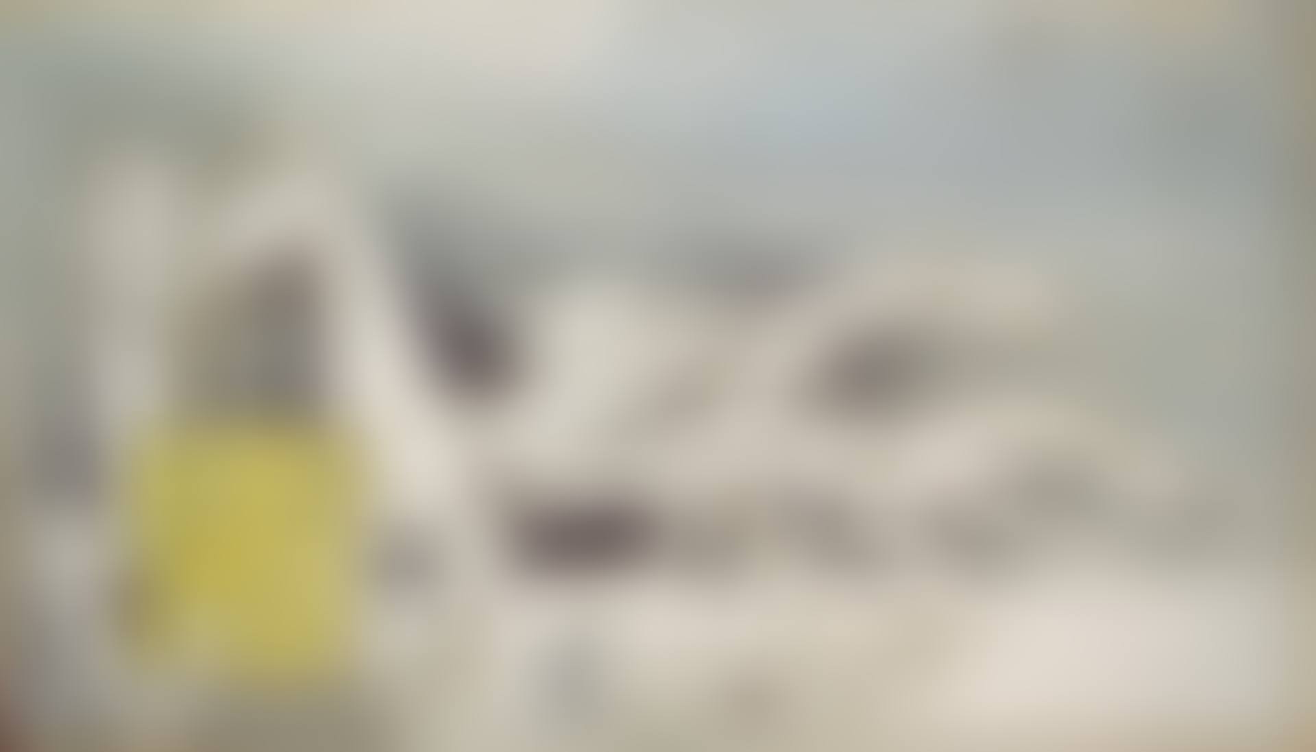 HORSES (preview)