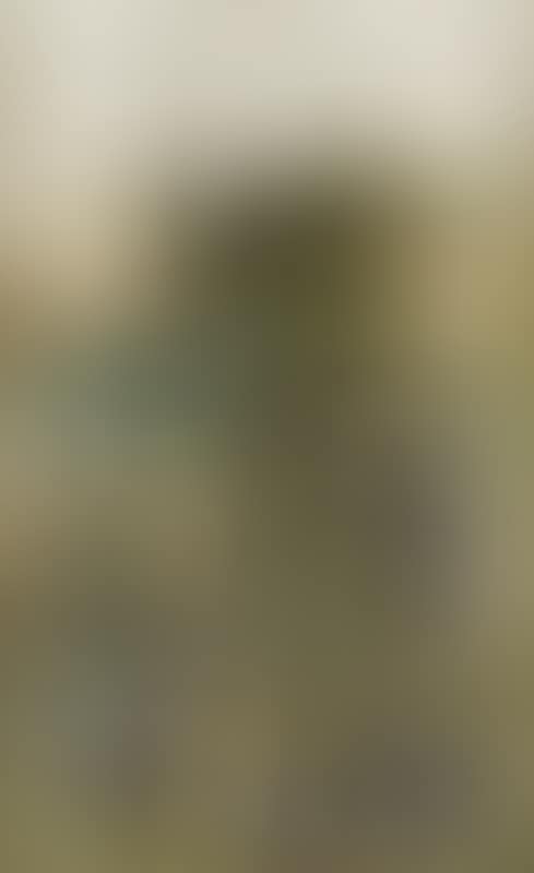 UNTITLED (THE DALHOUSIE LANDSCAPE) (preview)