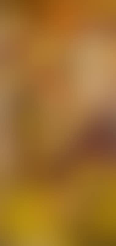 UNTITLED (preview)