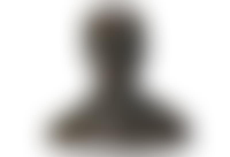 SECOND PORTRAIT OF PANDIT NEHRU (BUST) (preview)