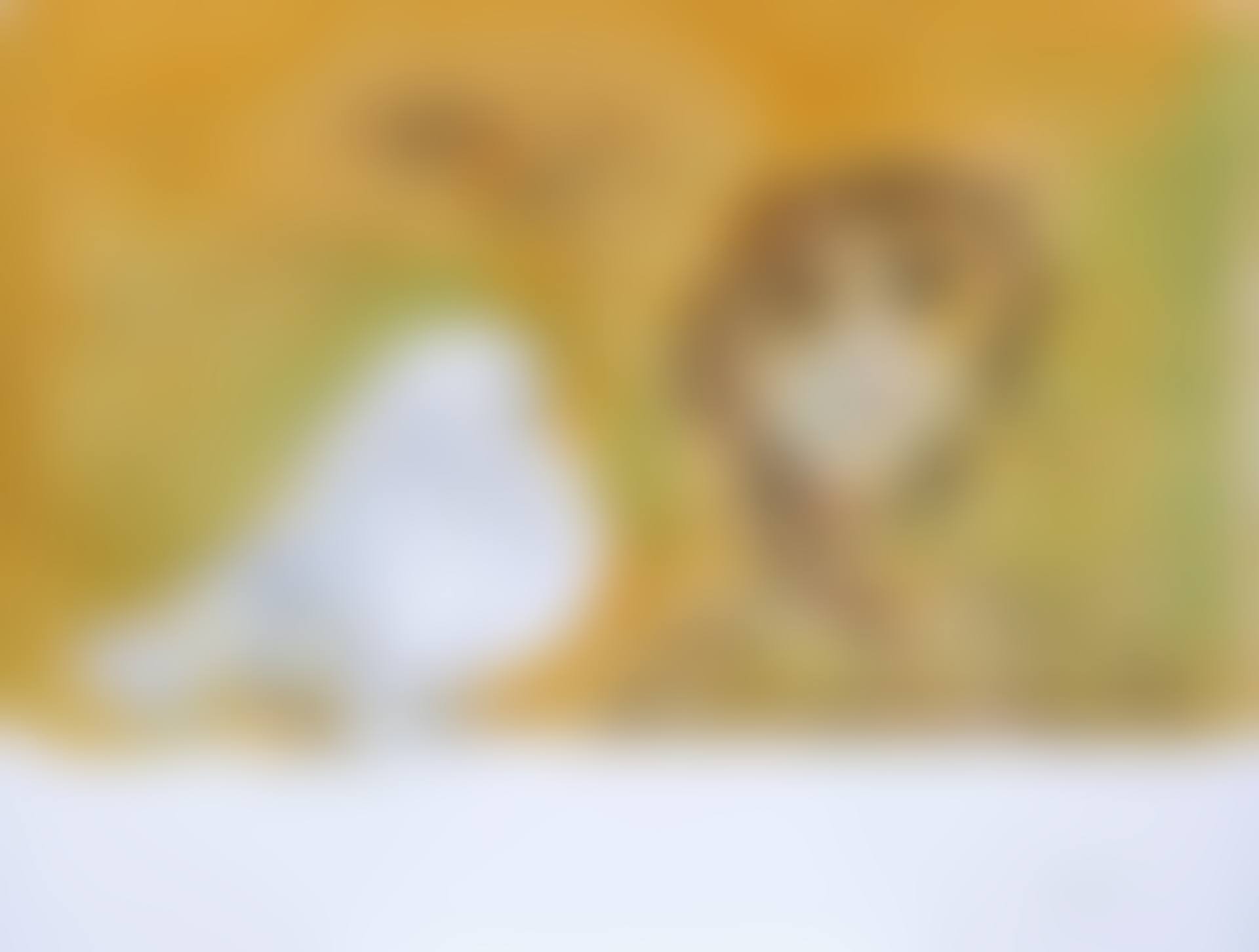 Untitled (preview)