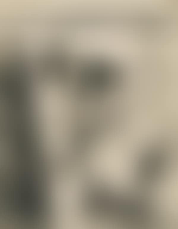 UNTITLED (HEAD) (preview)
