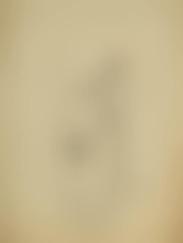 UNTITLED (STANDING NUDE) (preview)