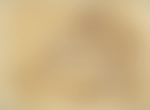 UNTITLED (preview)