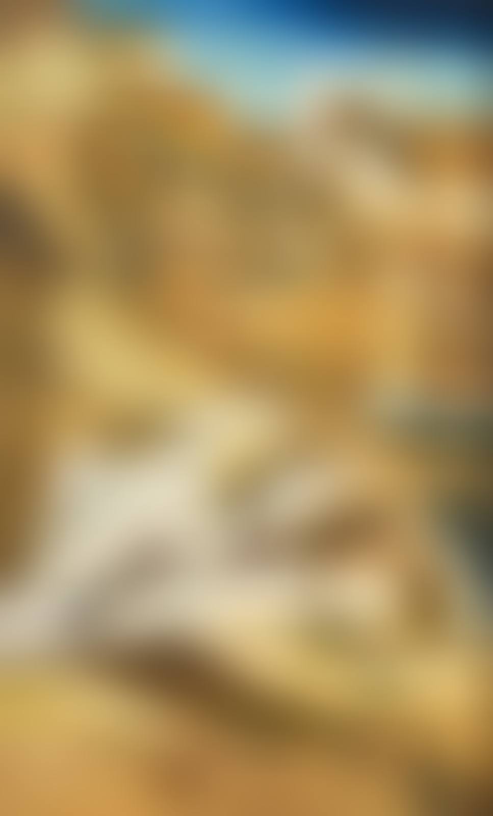 Untitled (preview)