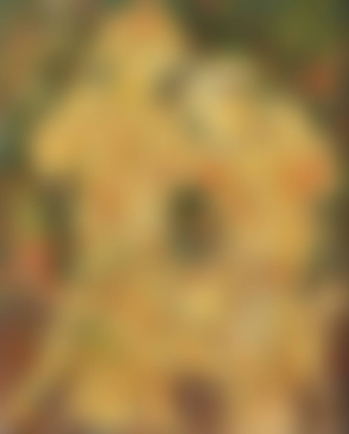 Untitled (preview)