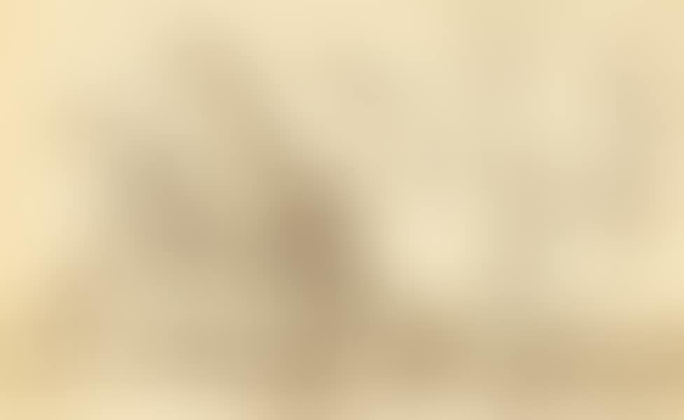 UNTITLED (preview)