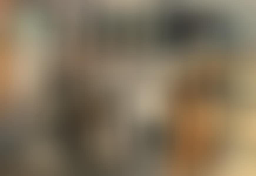 UNTITLED (HOUSES) (preview)