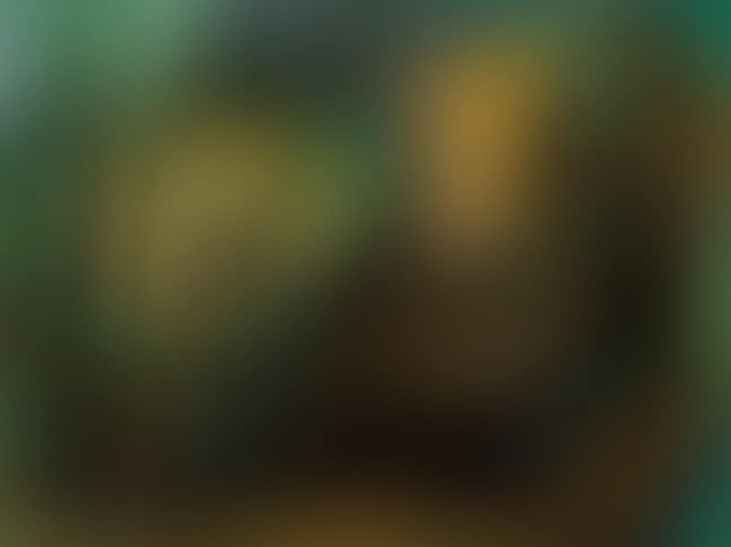 Composition (preview)