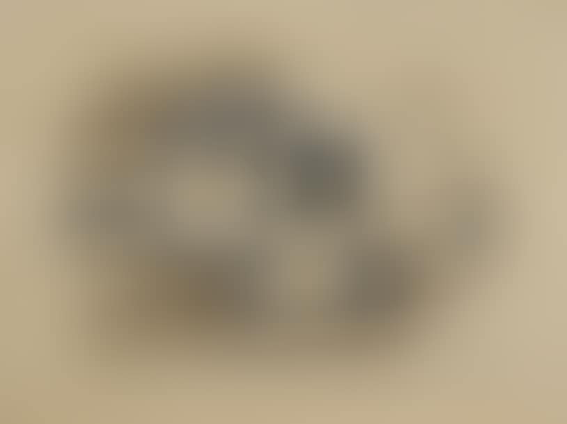 Still life (preview)