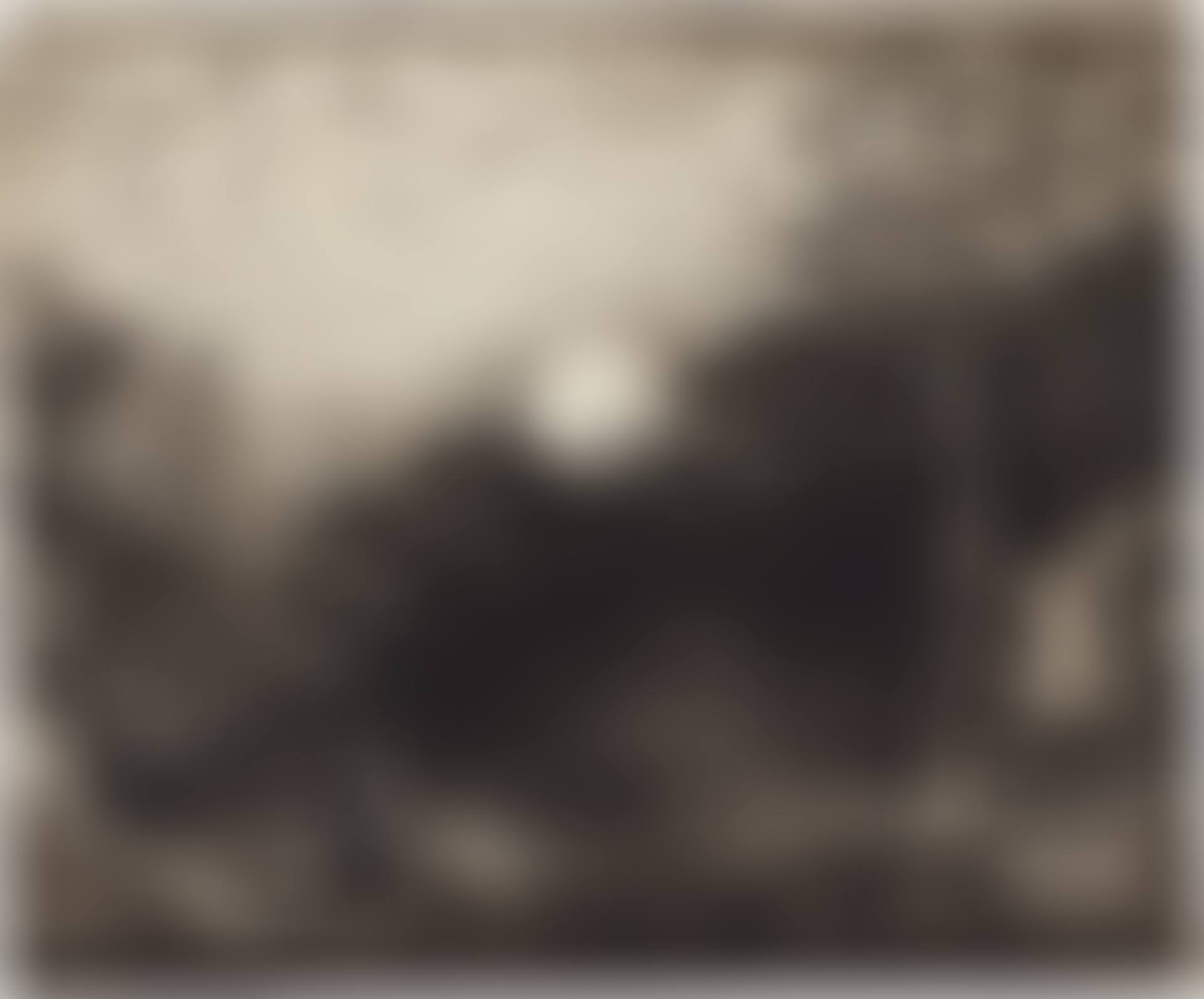 A Shepherd leading his flock under the full moon (preview)