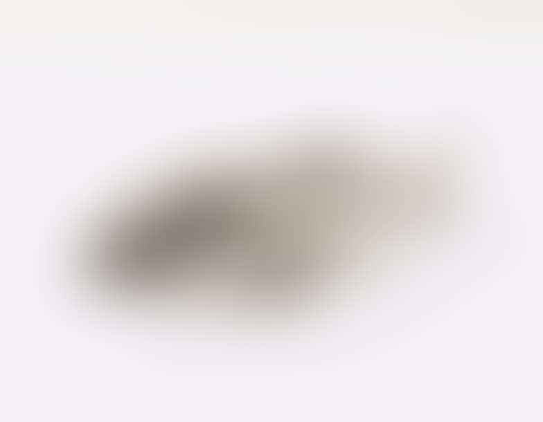 Moving silver fish (preview)