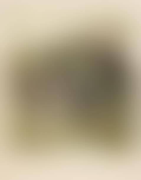 Untitled (preview)
