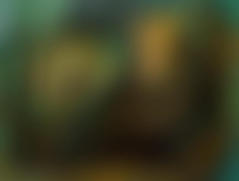 Composition (preview)