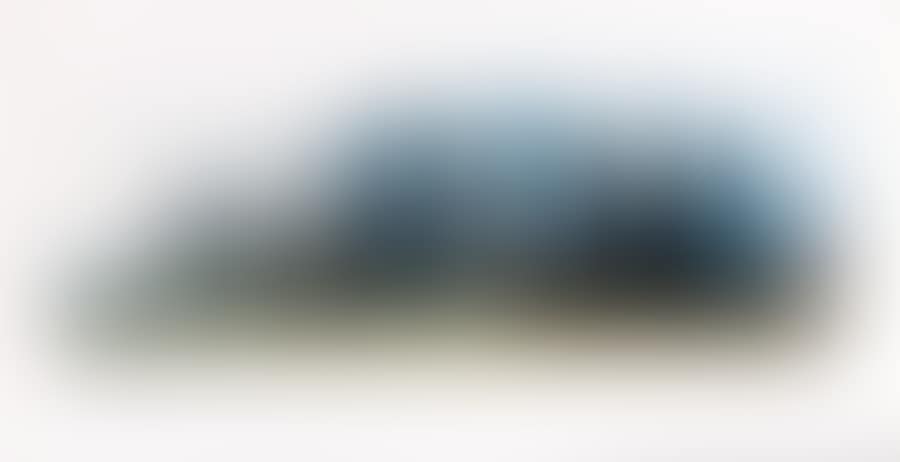Wrapped Trees, Fondation Beyeler, Suisse (preview)