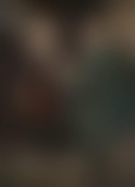 The conversation (preview)