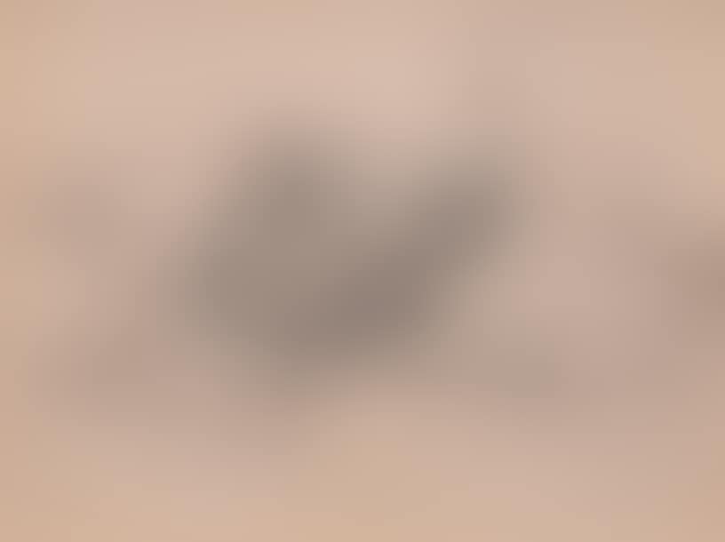 Landscape (preview)