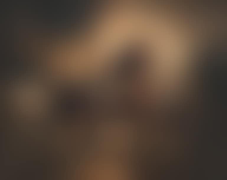 Horses in the stable (preview)