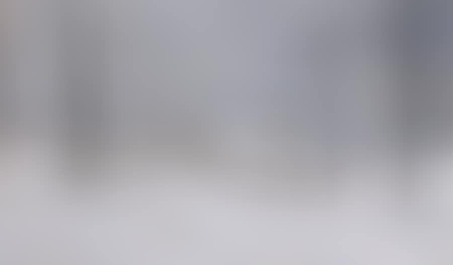 Village sous la neige (preview)