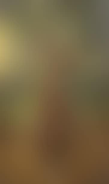 Young girl in an undergrowth (preview)