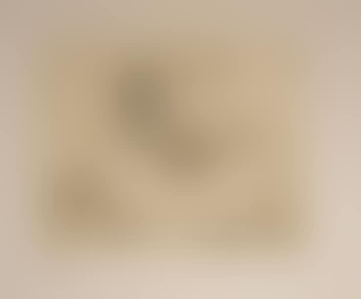 Untitled [in the room] (preview)
