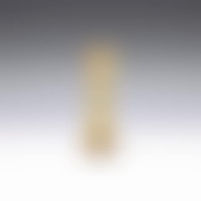 LILY OF THE VALLEY VASE (preview)