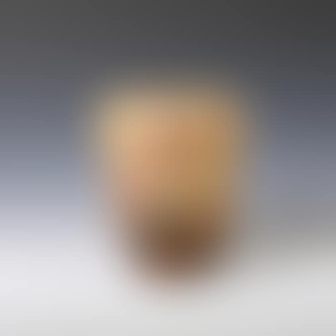 BEGONIA VASE (preview)