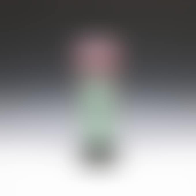 ROSE VASE (preview)