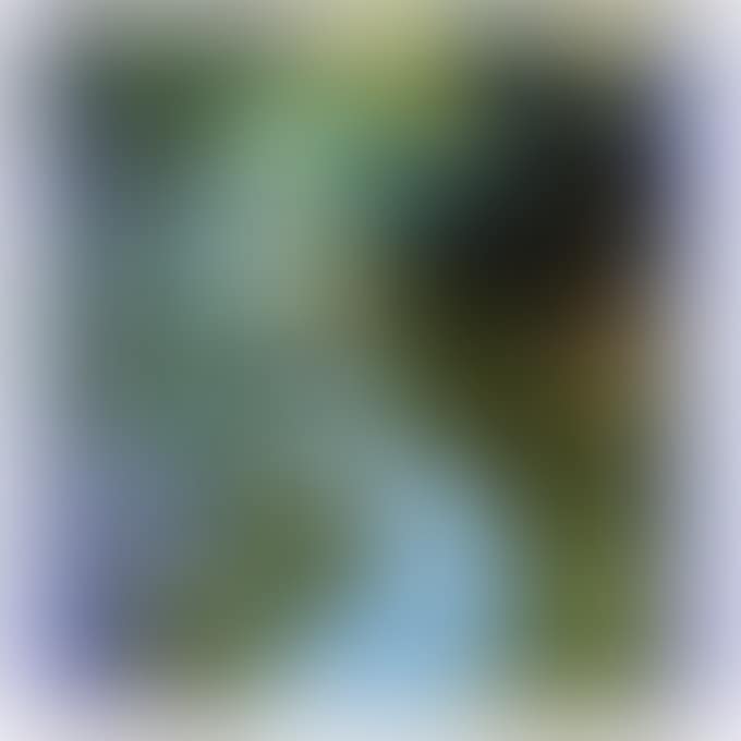 GREEN BRIDGE (preview)