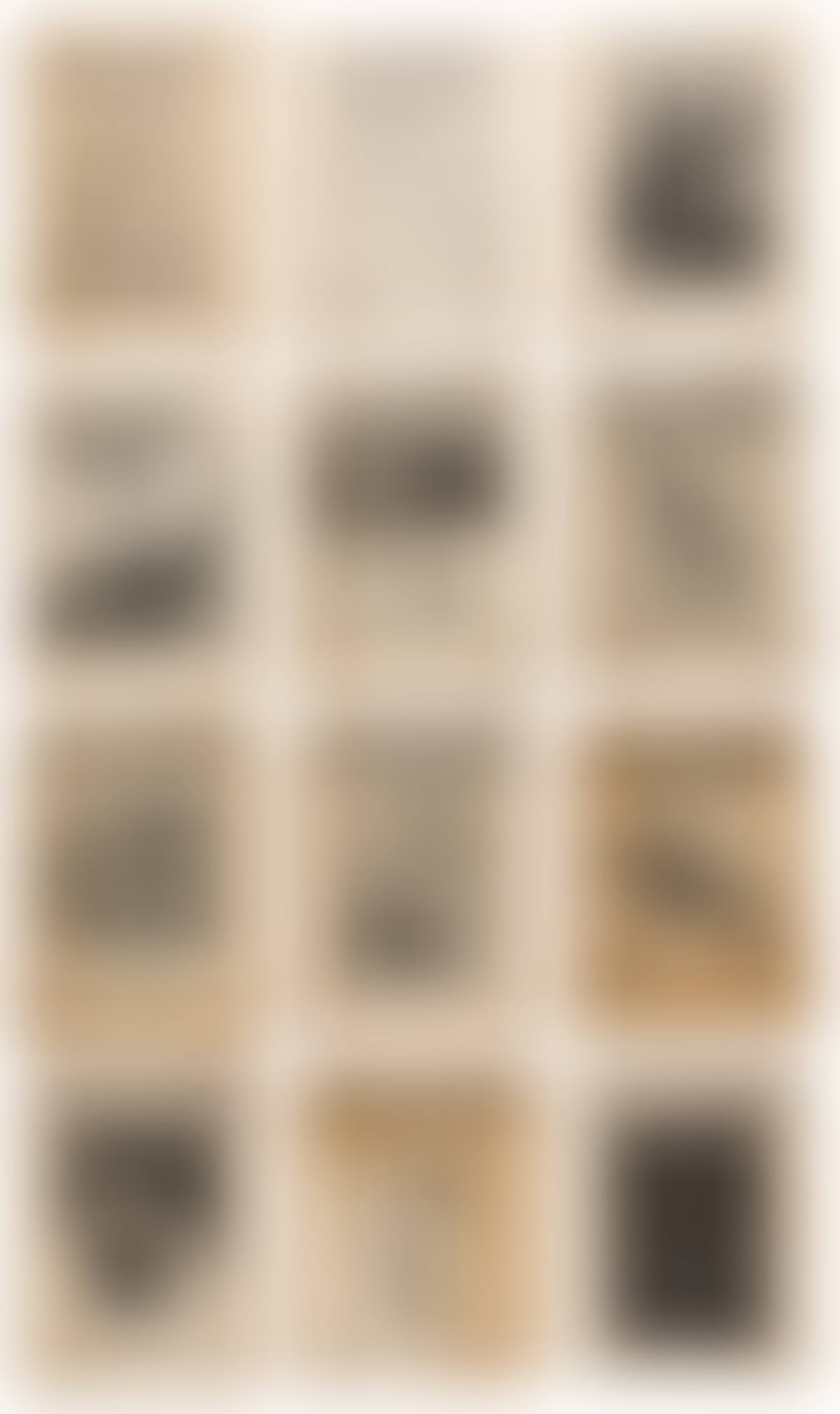 Gay Sunshine: A Newspaper of Gay Liberation. (preview)