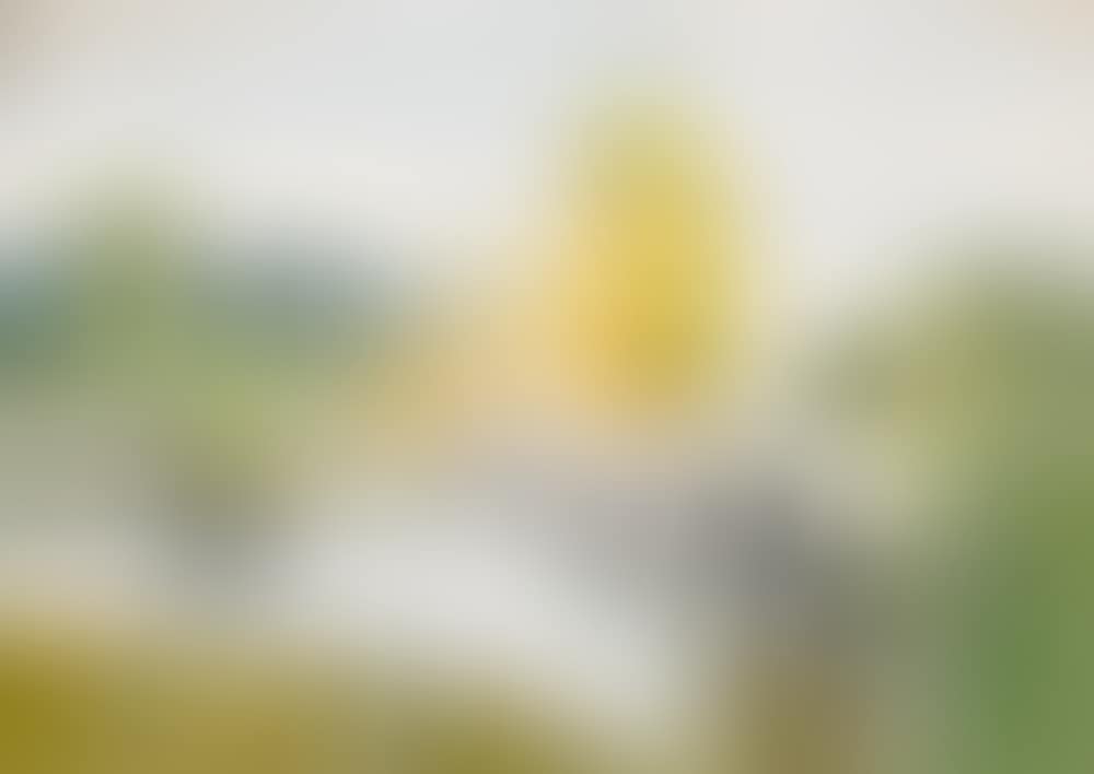 WOMAN ON A BRIDGE (preview)