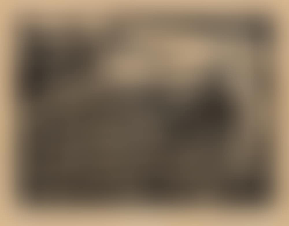 A PUBLIC MEETING (preview)