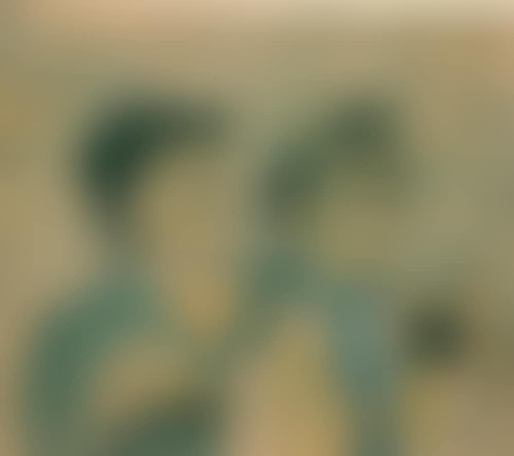 A BIRD NEVER FLEW ON ONE WING (preview)