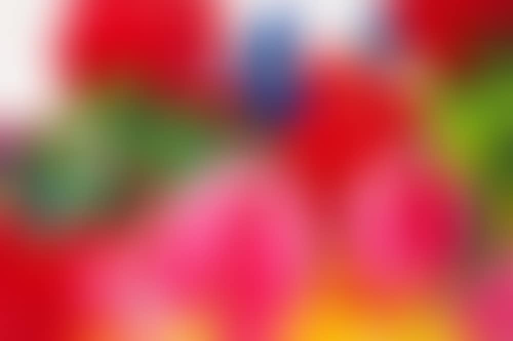UNTITLED (preview)