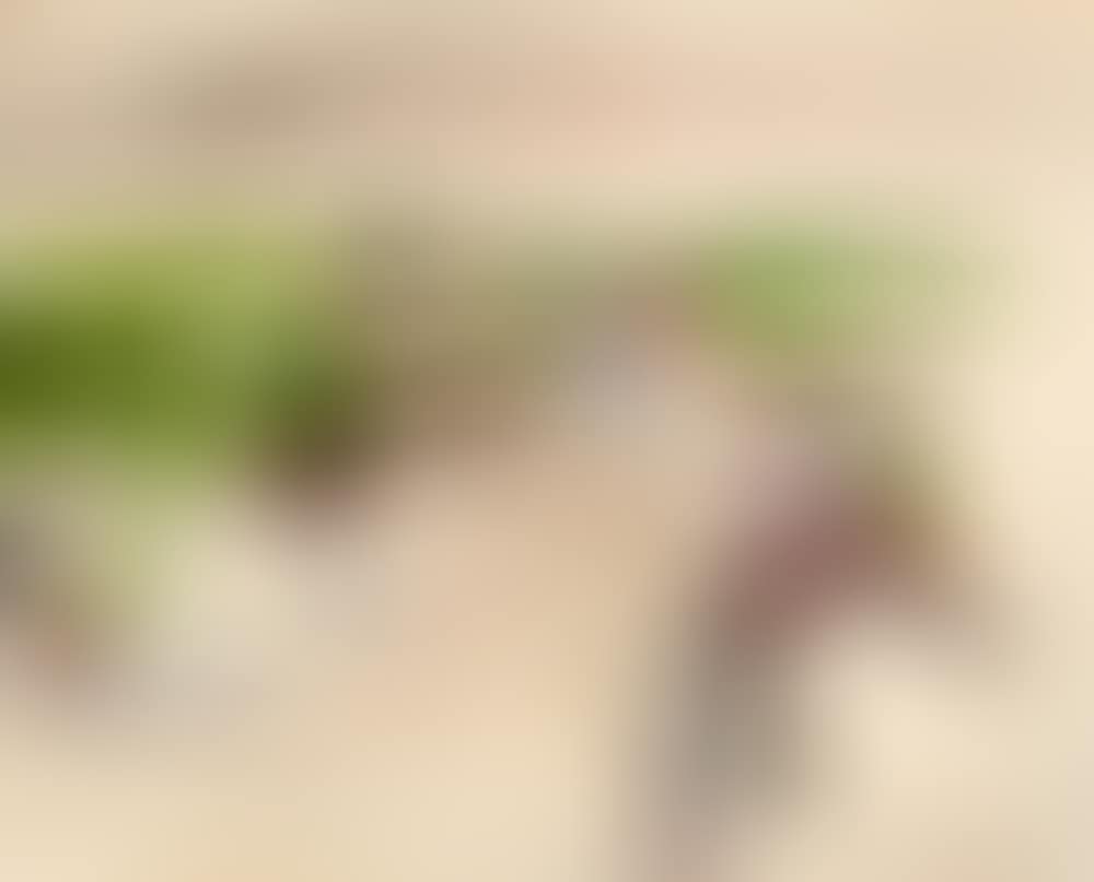VIEW OF AN ULSTER VILLAGE (preview)