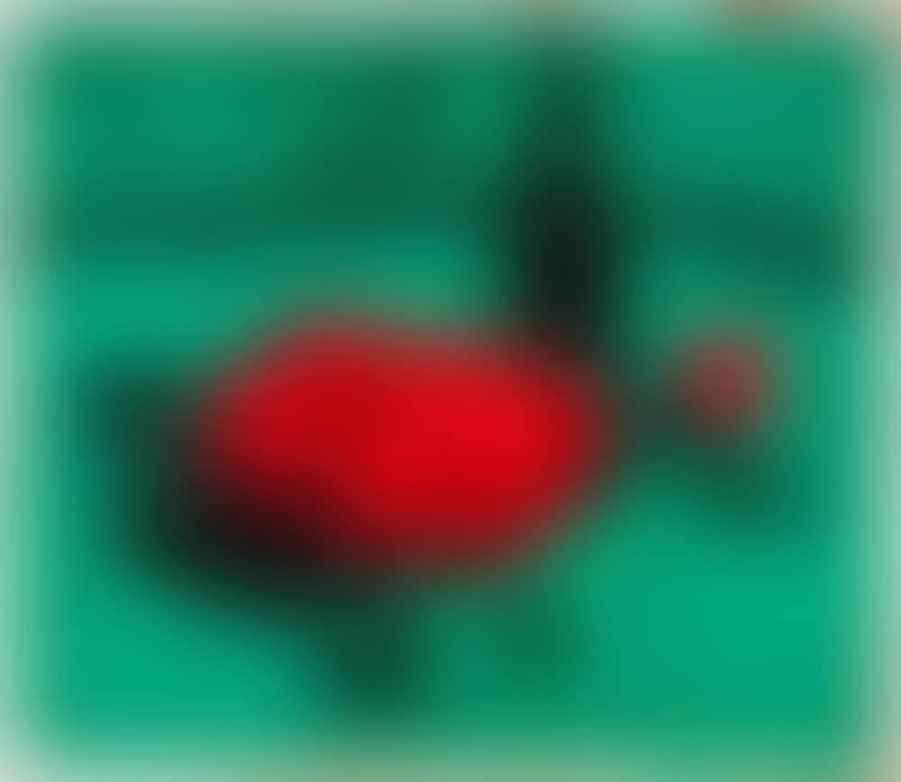 STILL LIFE WITH BOTTLE AND FRUIT (preview)