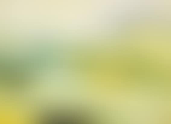 EXTENSIVE LAKE AND MOUNTAIN LANDSCAPE (preview)