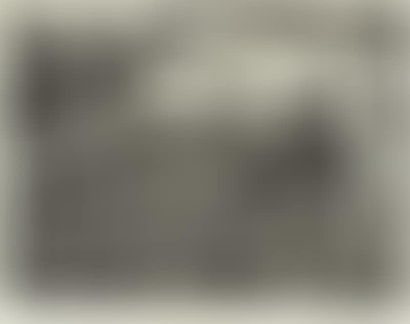 COLLECTION OF HISTORICAL PORTRAITS AND SCENES (preview)