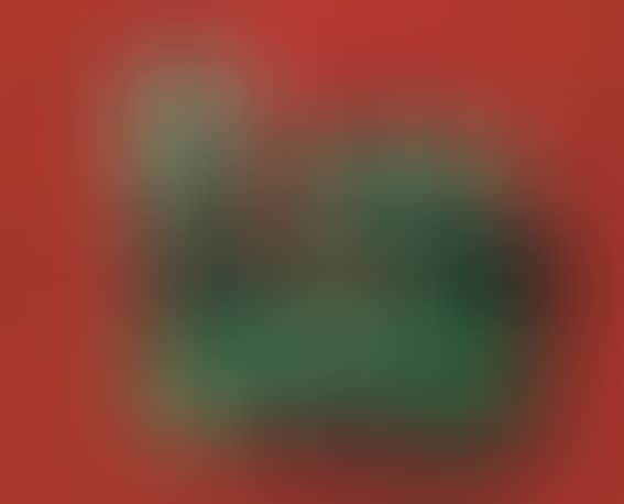 RED AND GREEN STILL LIFE (preview)