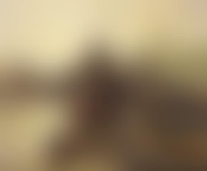MISTY MORNING (preview)
