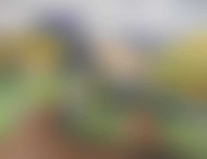 THE TWELVE PINS, RENVYLE, CONNEMARA (preview)