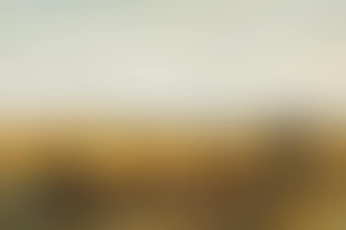 CORN STOOKS, FIGURES IN A LANDSCAPE (preview)
