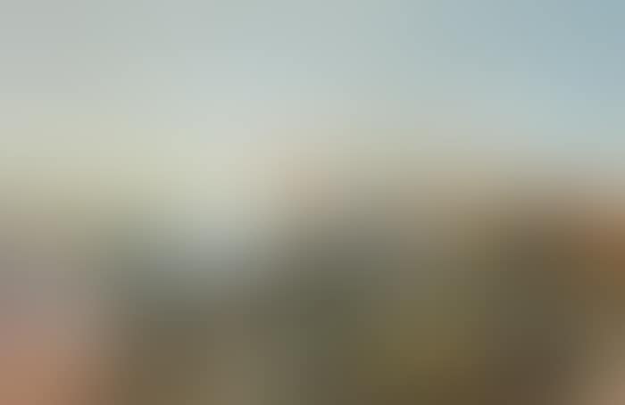 BANK OF WILD FLOWERS WITH VIEW OF A FORT,LOUGH AND MOUNTAINS IN THE DISTANCE (preview)