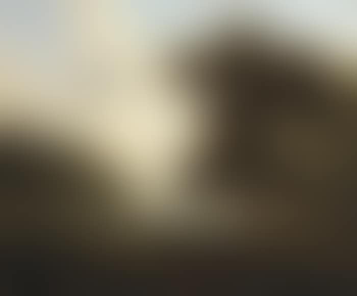 FIGURE ON A PATH, COUNTY WICKLOW (preview)