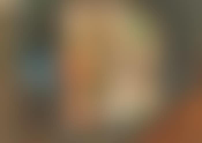 STILL LIFE WITH MIRROR REFLECTIONS (preview)