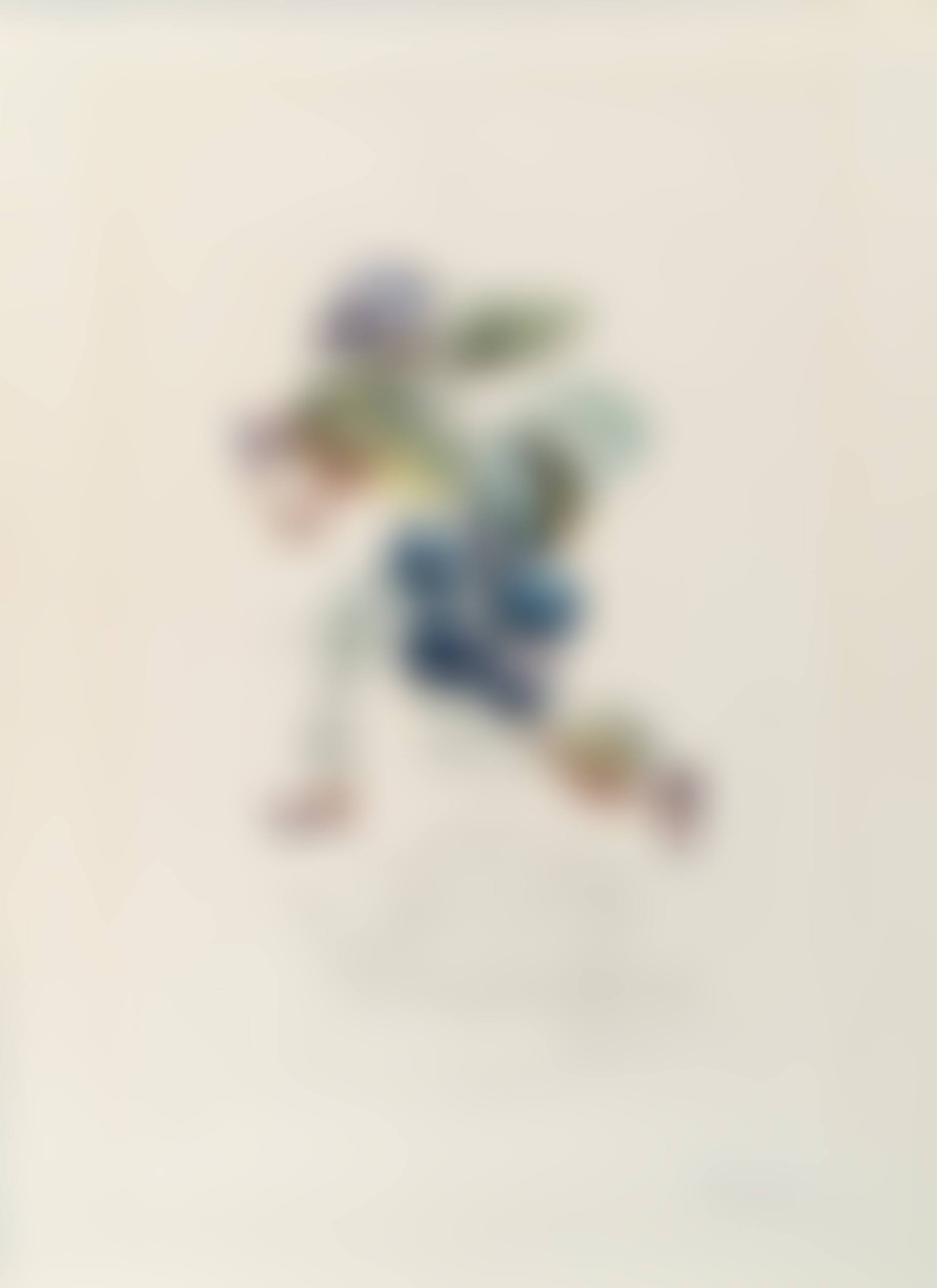 Le prunier hâtif, from FlorDali/Les Fruits (Field 69-11-C) (preview)