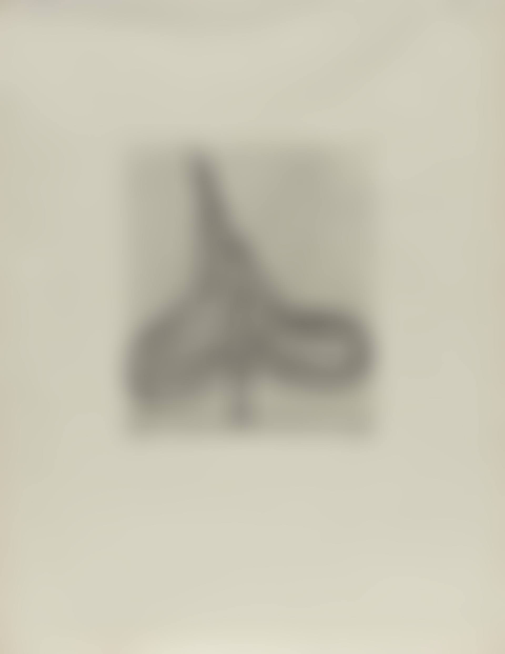 Spade Drypoint, from Five Spades (preview)