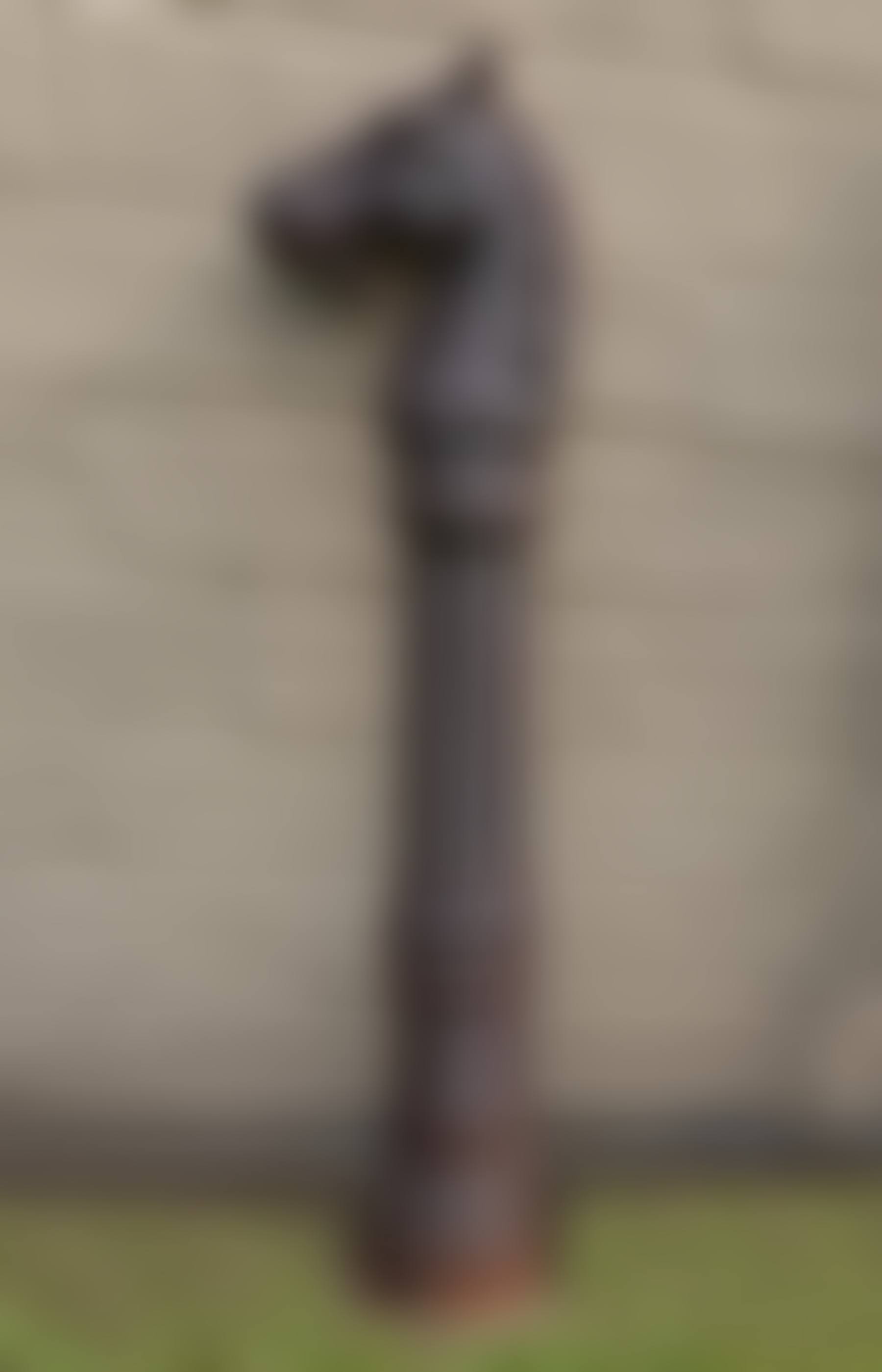 American Cast Iron Horse-Head Hitching Post (preview)