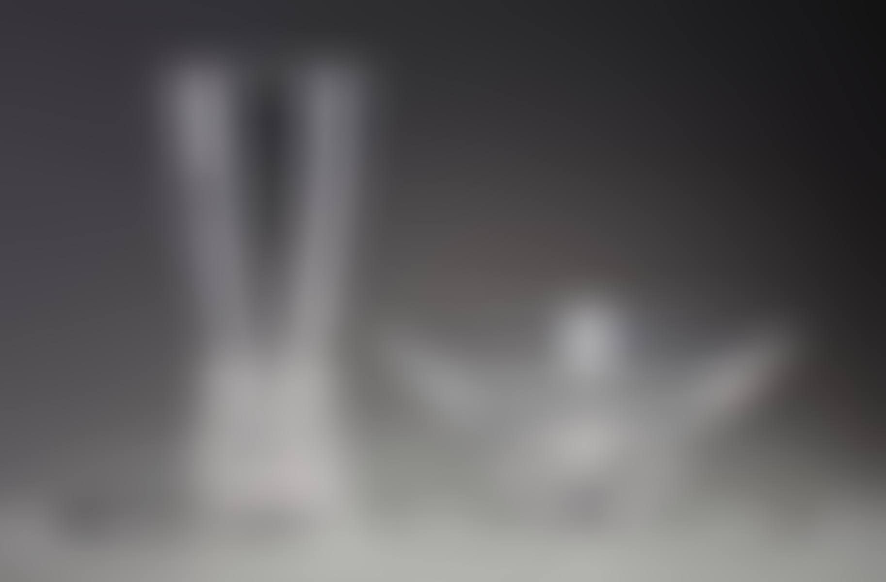 "Peony" Bowl and a "Corolla" Vase (preview)
